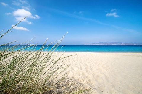 Best Beaches