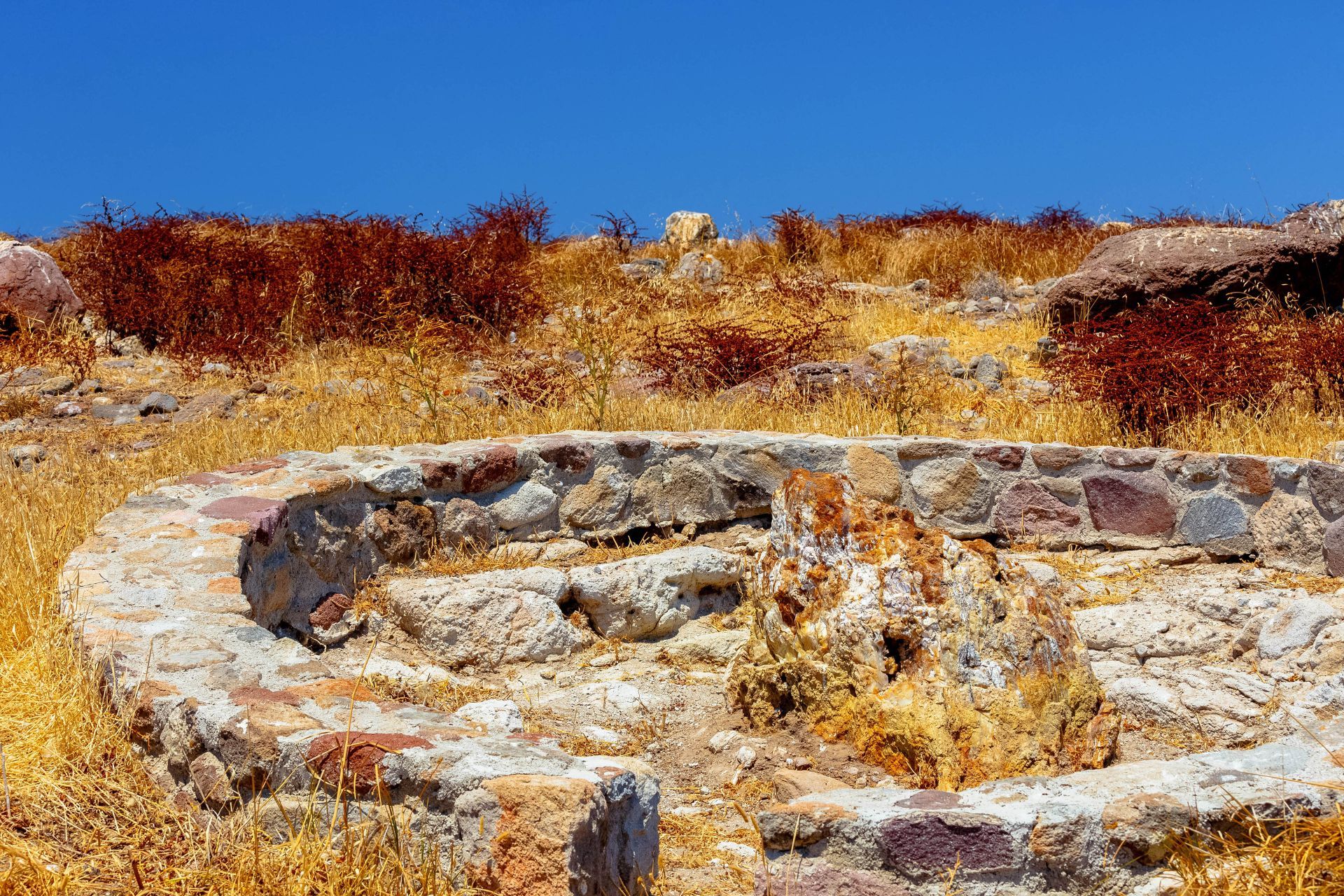 The Petrified forest