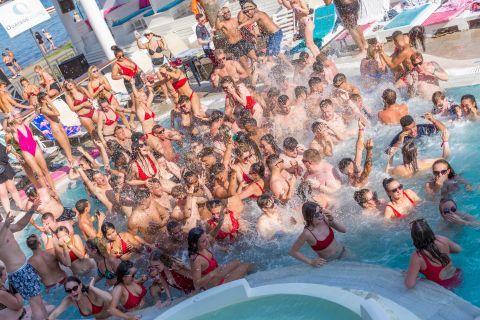 Party Holiday