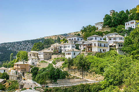 pelion