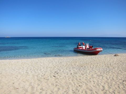 Private Boat Trip & Snorkeling Sea Safari 2