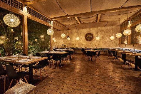 Best Restaurants