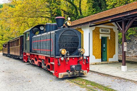 Travel with the steam train